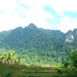 Xuan Son National Park Tour 2 Days: Tranquil Nature Escape