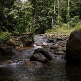 Xuan Son National Park Tour 2 Days: Tranquil Nature Escape