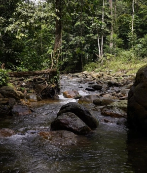 Xuan Son National Park Tour 2 Days: Tranquil Nature Escape
