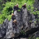 Cat Ba Trekking Tour 2 Days: Island Escape