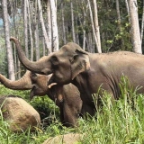 Cambodia Thailand Tour 11 Days: Cultural and Scenic