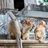 Cambodia Thailand Family Tour 12 Days: Explore Temples, Beaches & Heritage