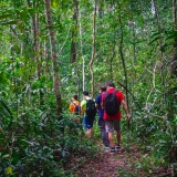 Kirirom Trekking Tour 3 days: Explore Kirirom