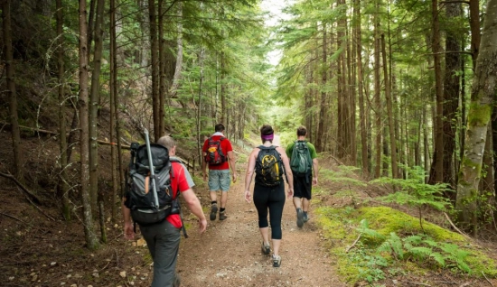 Kirirom Trekking Tour 3 days: Explore Kirirom
