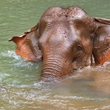 Cambodia Tour 11 days: Culture and Wilderness Adventure