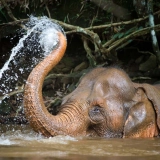Laos Thailand Tour 19 Days: Upstream expedition