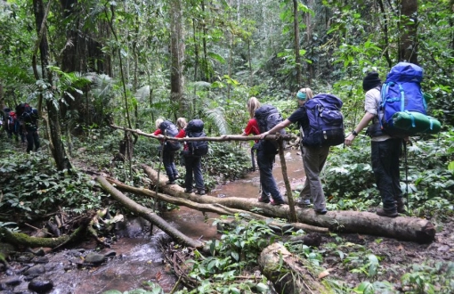 Laos Ecotourism: Explore Pristine Nature and Authentic Local Living