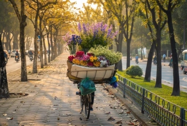 Hanoi arrival (-)
