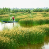 Vietnam Tour 11 Days: Hidden Gems of Vietnam