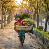 Vietnam Tour 11 Days: Hidden Gems of Vietnam