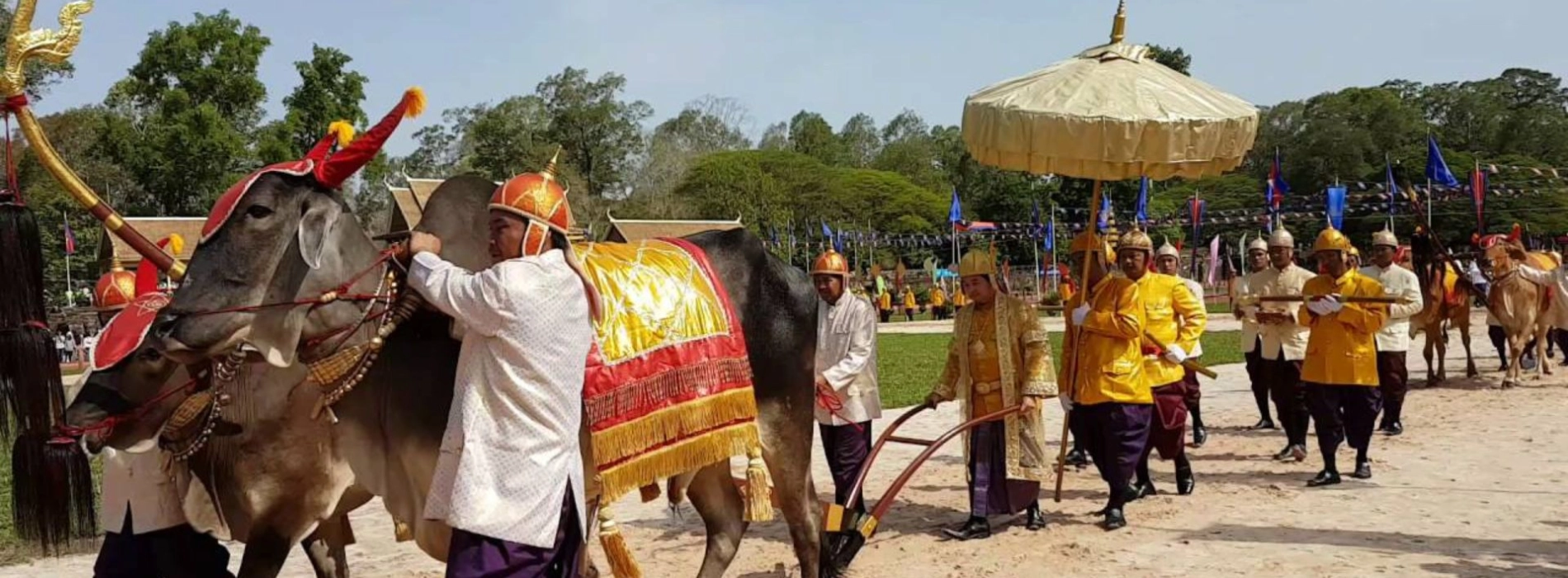 Royal Plowing Ceremony in Cambodia