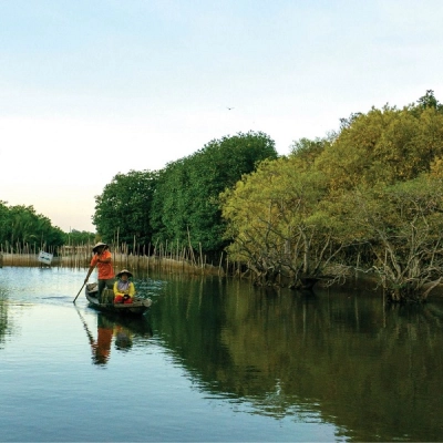 Ru Cha Mangrove Forest
