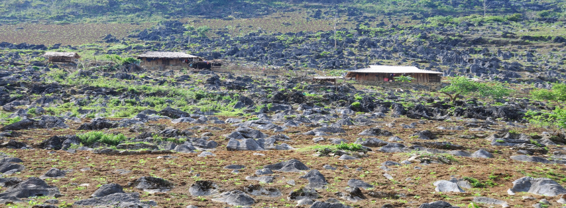 Tua Chua Stone Plateau