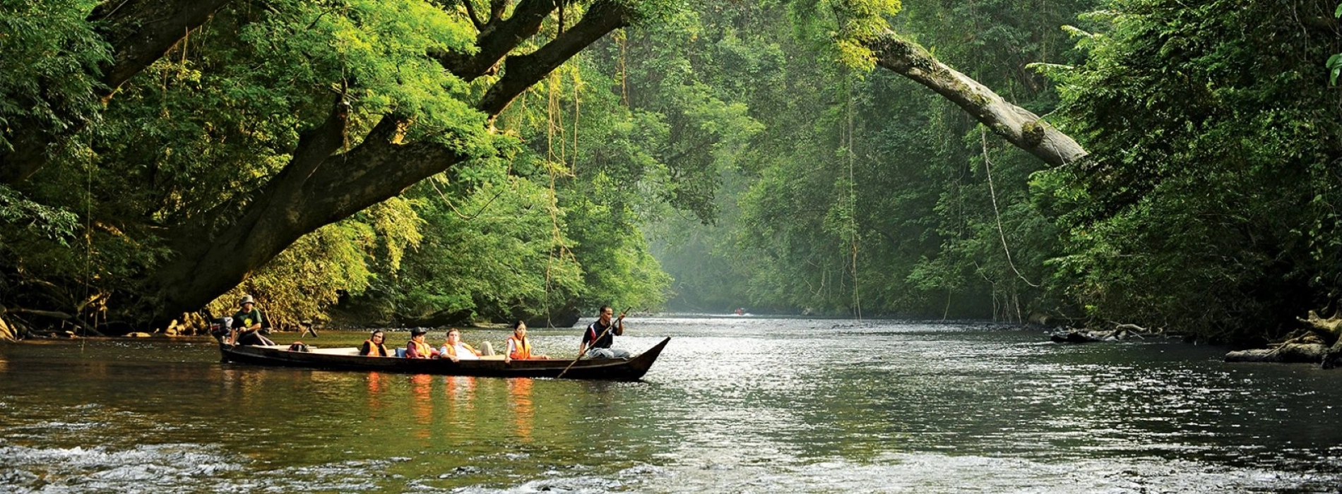 10 Ecotourism in Malaysia: Travel Guide for 2025