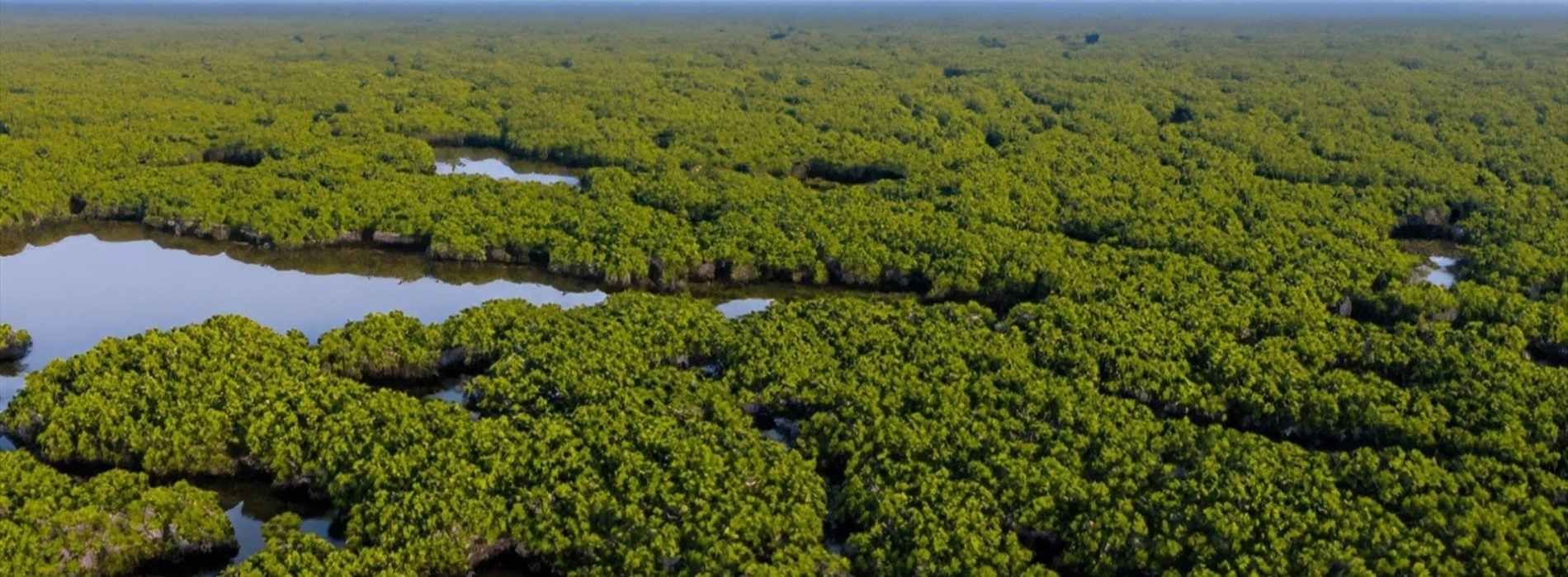 Xuan Thuy National Park