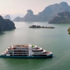 Unique Experiences on a Ha Long Bay Cruise