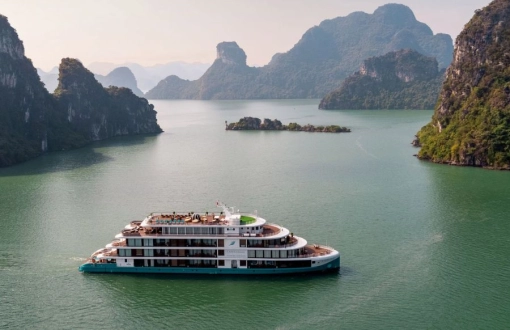 Unique Experiences on a Ha Long Bay Cruise
