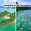 Lan Ha or Bai Tu Long? Choosing Your Bay Beside Ha Long Bay Cruise