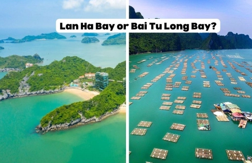 Lan Ha or Bai Tu Long? Choosing Your Bay Beside Ha Long Bay Cruise