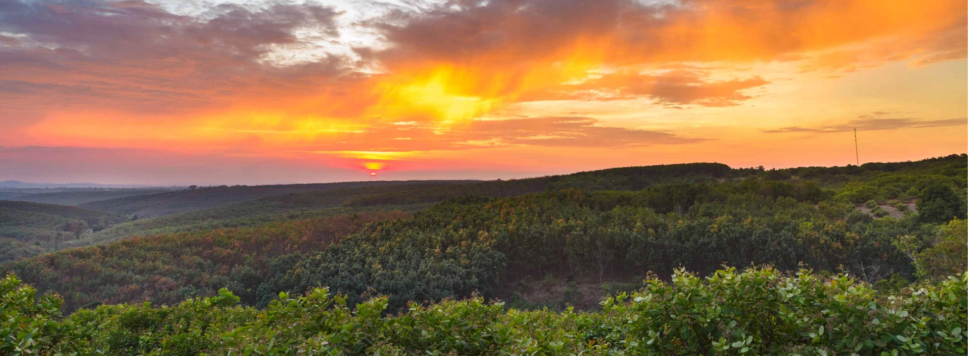 Top 5 Trekking Trails in Cambodia for Nature Lovers