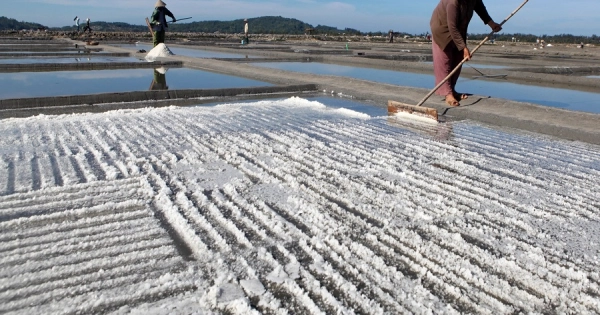 Sa Huynh Salt Field - Travel guide, travel tips
