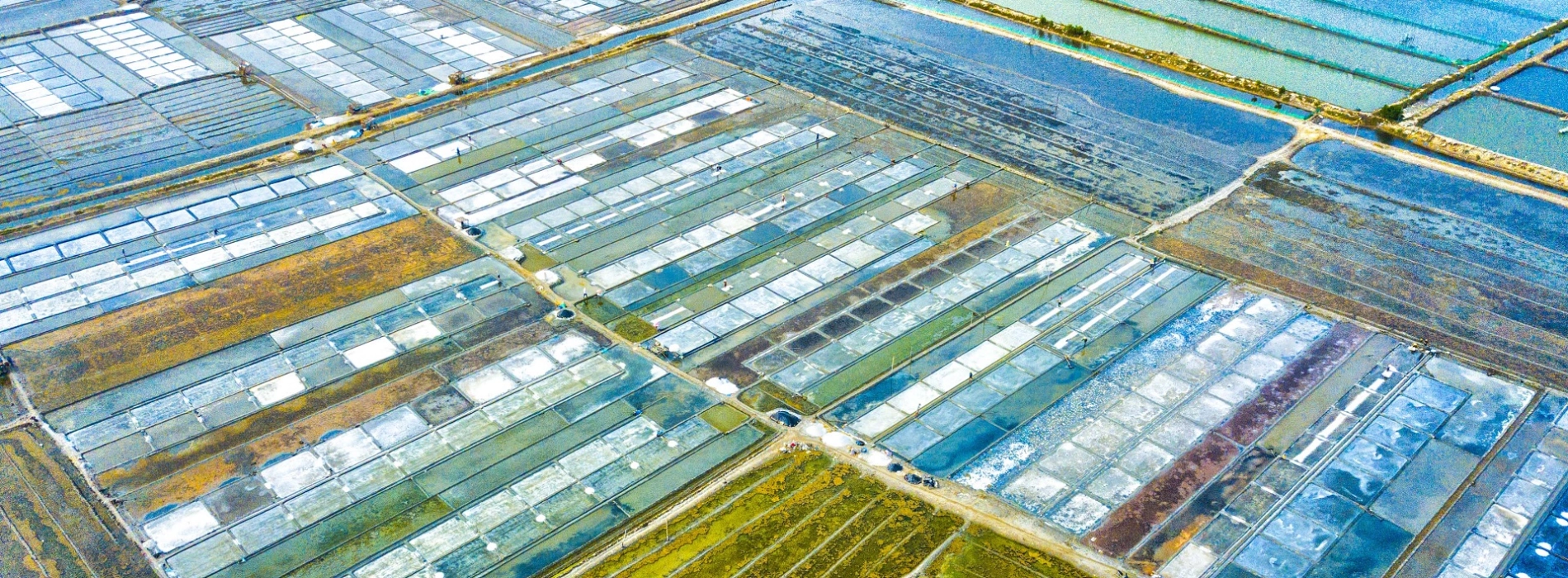 Sa Huynh Salt Field
