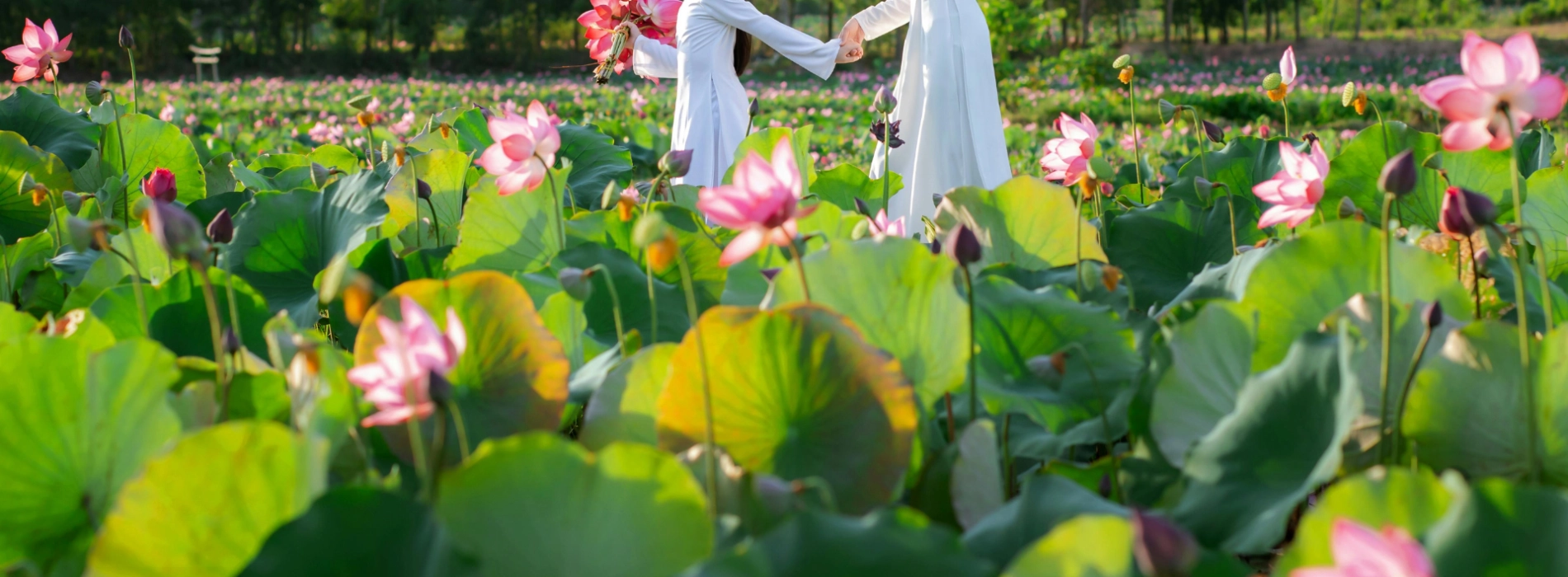 How To Plan A Vietnam Tour Package For Your Family