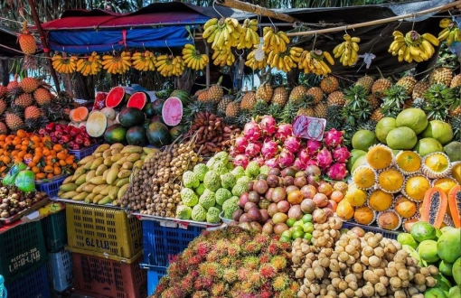 Thailand Travel Guide: Exploring Thai Fruit Paradise