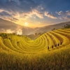 Vietnam Weather by Month: Best Time to Travel