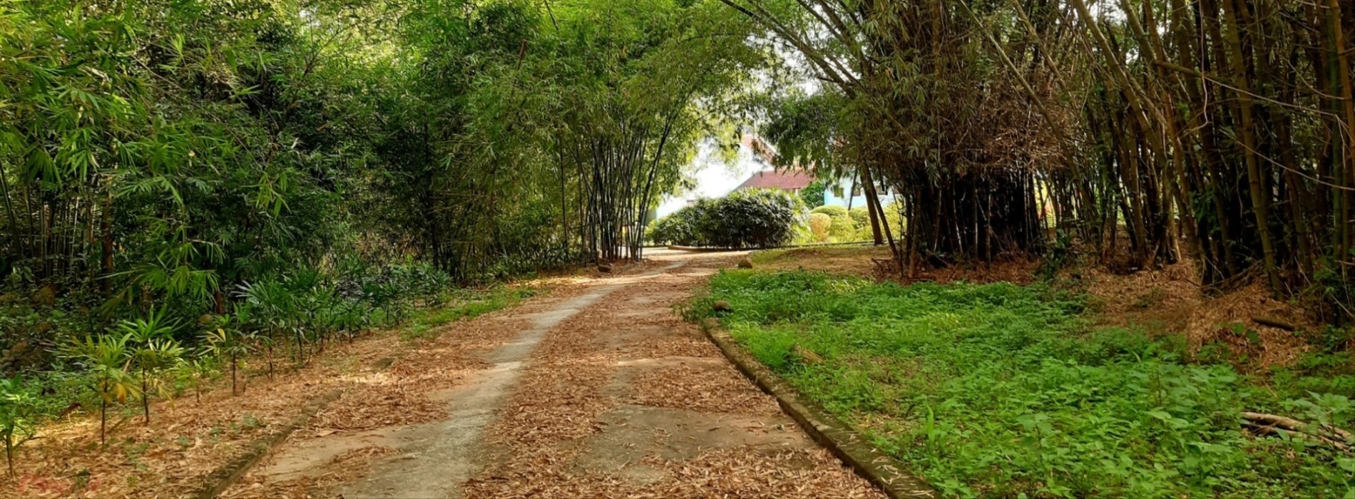 Phu An Bamboo Village