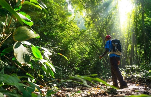 Thailand Trekking Tours: Dos and Don’ts for First-Timers