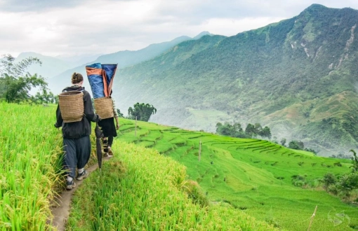 Top Trekking Tours in Northern Vietnam