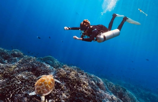Thailand Diving Regulations 2025 for Beginners