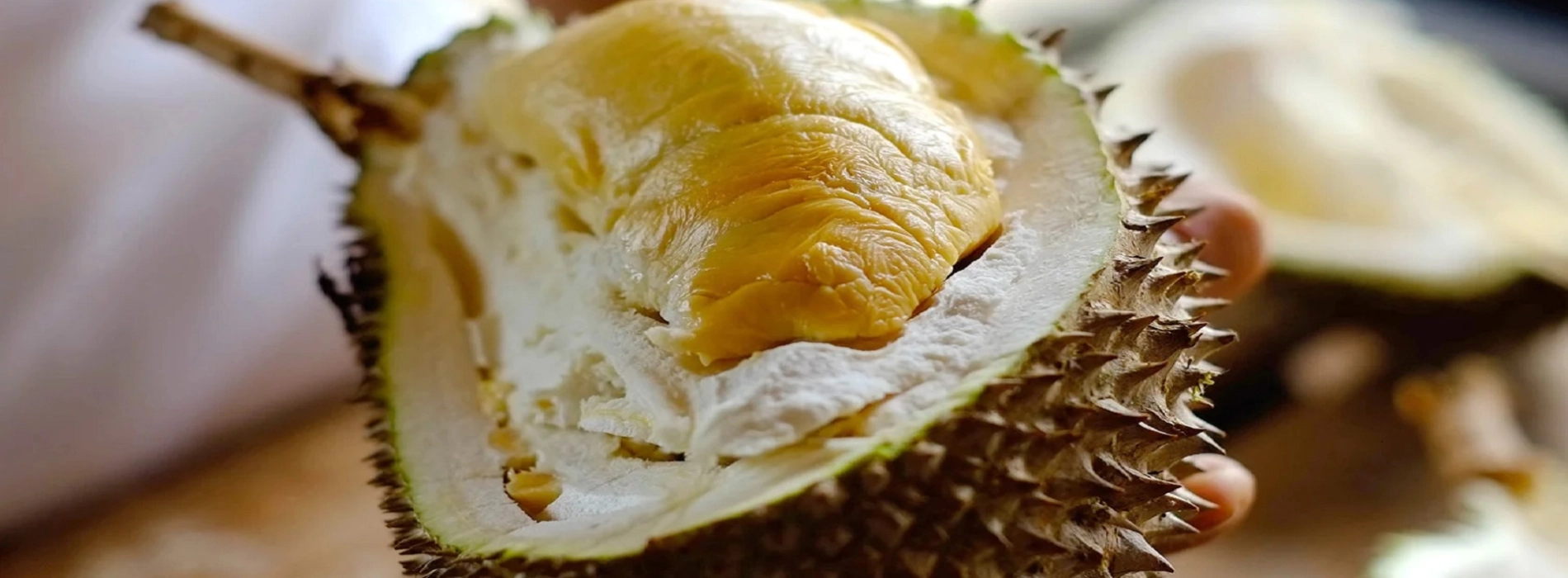A Guide to Durian Buffets in Malaysia: Types, Locations, and Prices