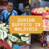 A Guide to Durian Buffets in Malaysia: Types, Locations, and Prices