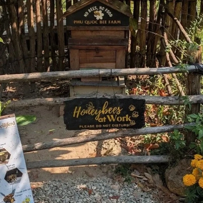 Phu Quoc Bee Farm