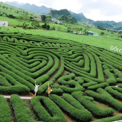 Love Moc Chau Heart Tea Hill