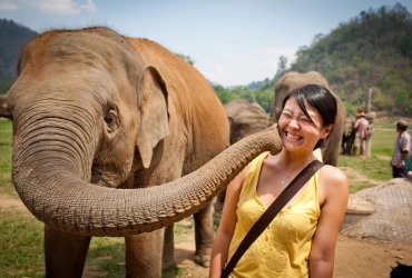 Lampang – Elephants conservation center homestay (B, L, D)