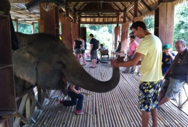 Luang Prabang – Shangri Elephant Experience (B)