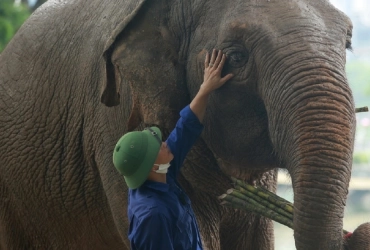 Pakbeng – Mekong Elephant Camp (B, L, D)