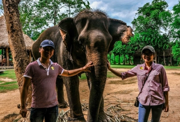 Luang Prabang- Elephant village – Kuang Si (B)