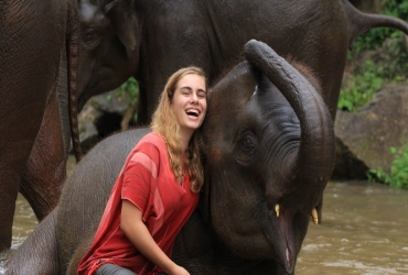 Luangprabang – Elephant Sanctuary Visit full day (private tour guide/ join-in transfer and activity on spot of Elephant camp) (B, L)