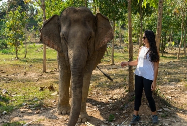 Luang Prabang - Elephant Experience - Departure (B, L)