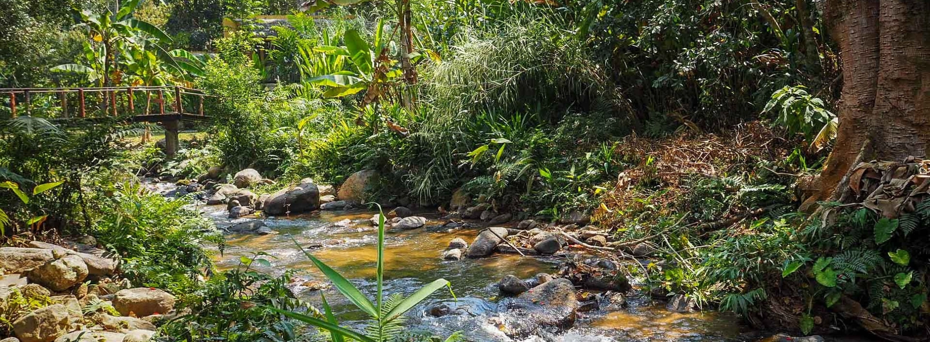Mae Kampong is among the best highland villages in Asia