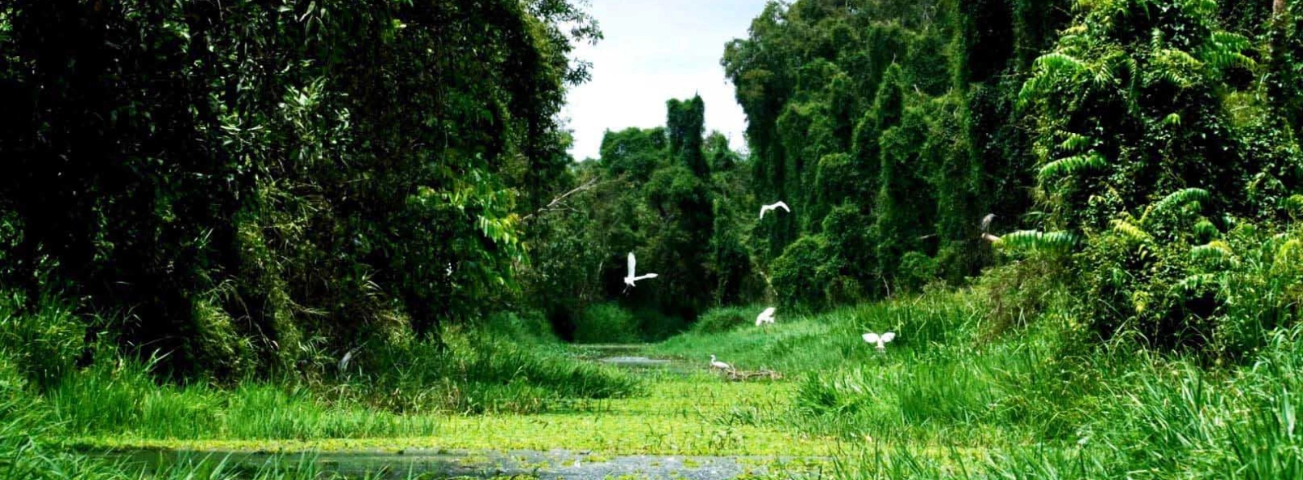 Gao Giong Ecotourism Area