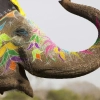 The elephant festival in the Land of a Million Elephants