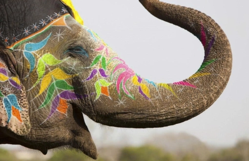 The elephant festival in the Land of a Million Elephants