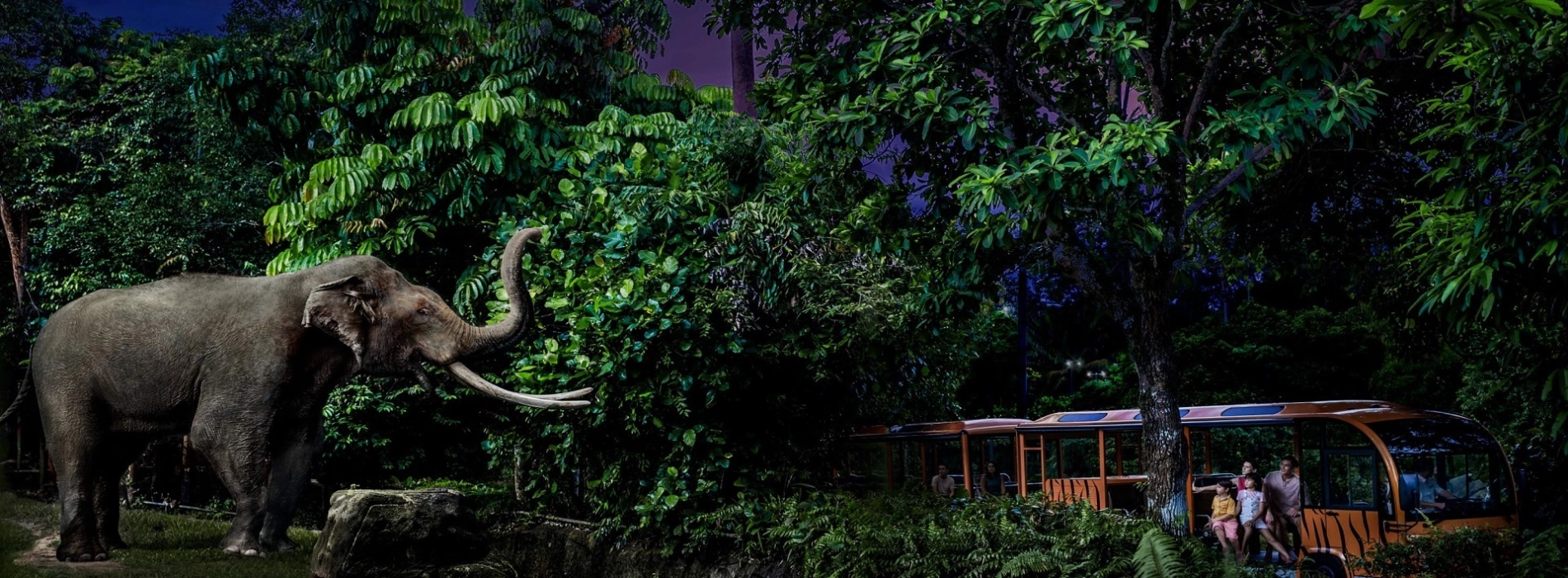 Noctourism in Southeast Asia: 2025's Biggest Travel Trend