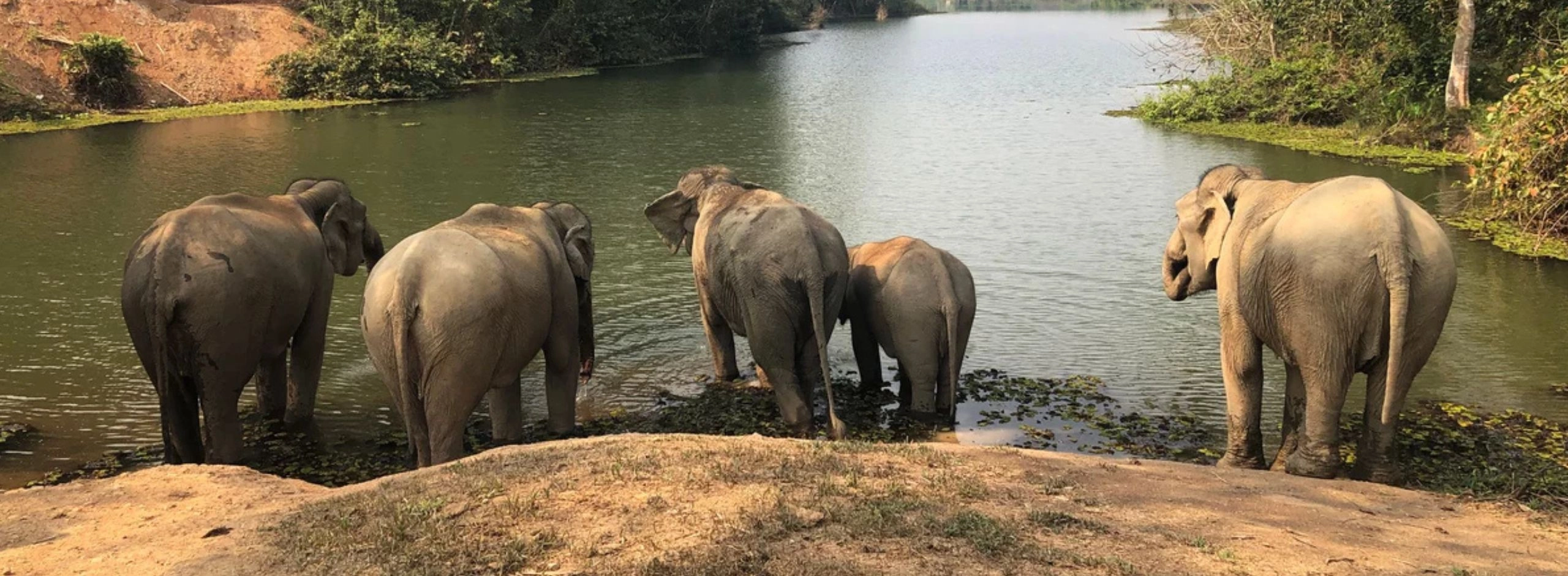 Laos trekking
