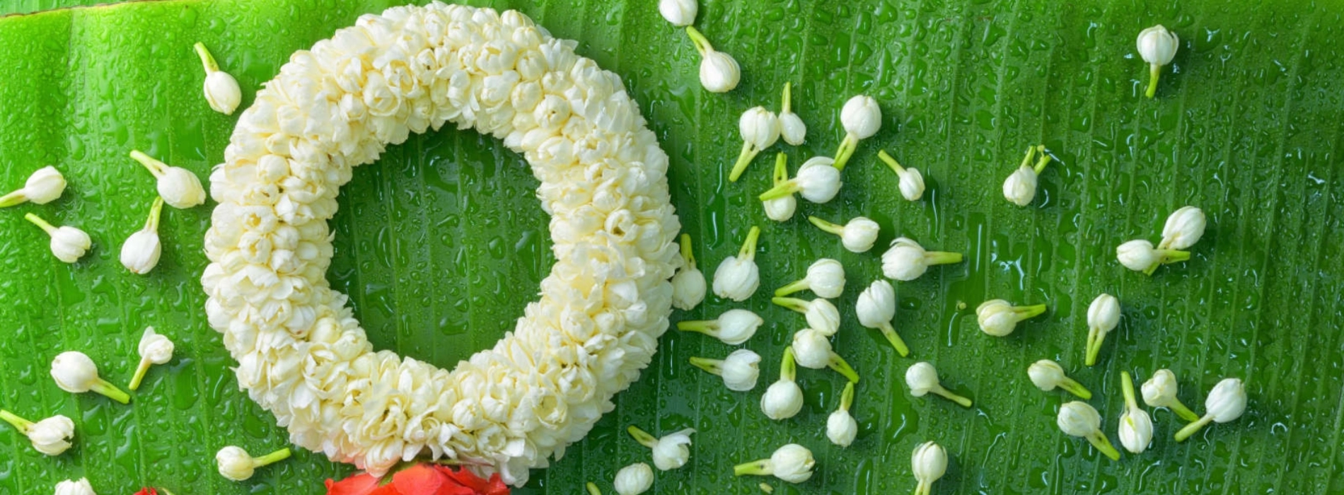 Thai Mother’s Day: A Heartwarming National Holiday
